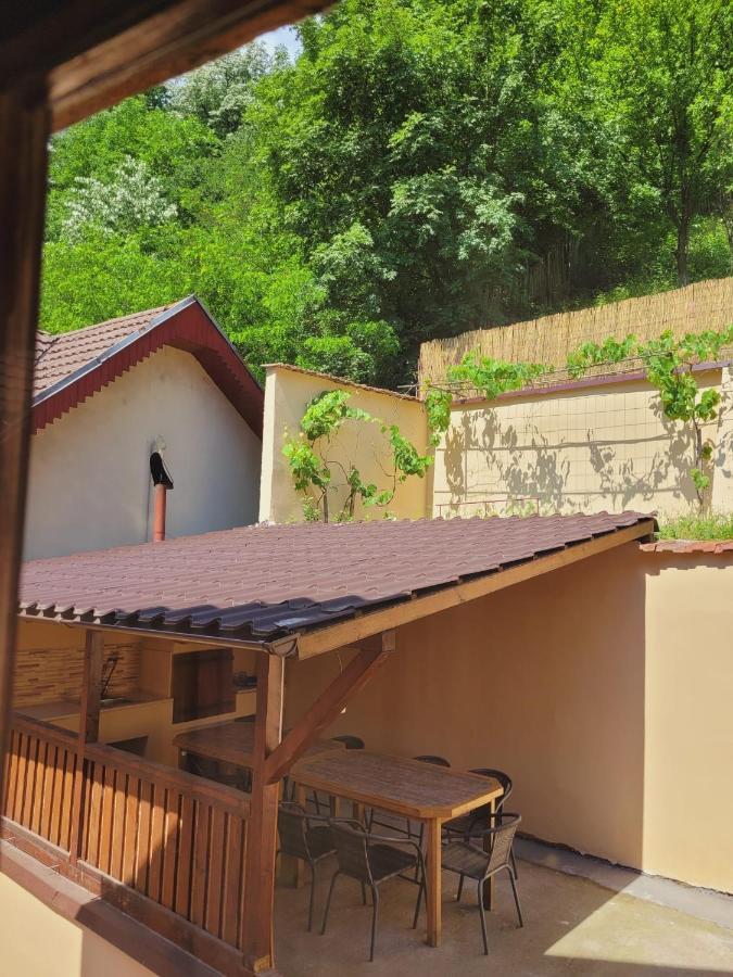 Villa Casa Basu Băile Herculane Exterior foto